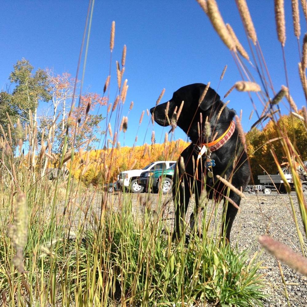 Meet your Posher, Mal